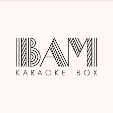 Bam Karaoke Box